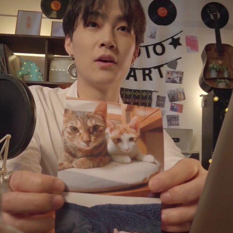 Idol Kpop và mèo cưng: choáng với đại gia đình của Lisa BLACKPINK-3