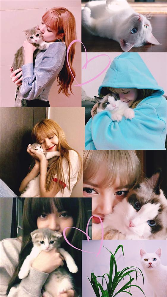 Idol Kpop và mèo cưng: choáng với đại gia đình của Lisa BLACKPINK-6