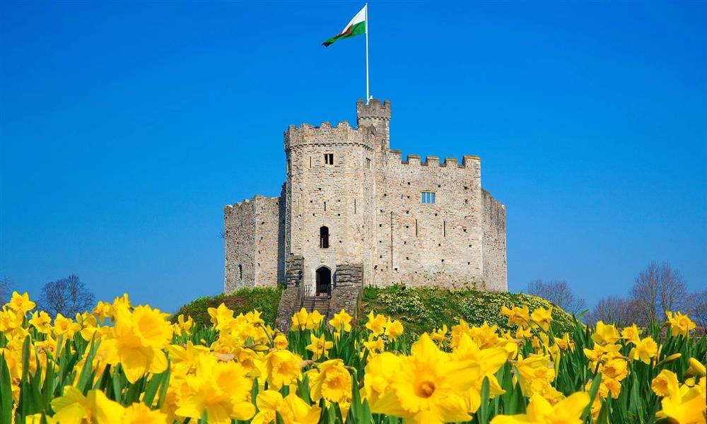 Ngắm sắc xuân rực rỡ tuyệt đẹp trên khắp hành tinh-10