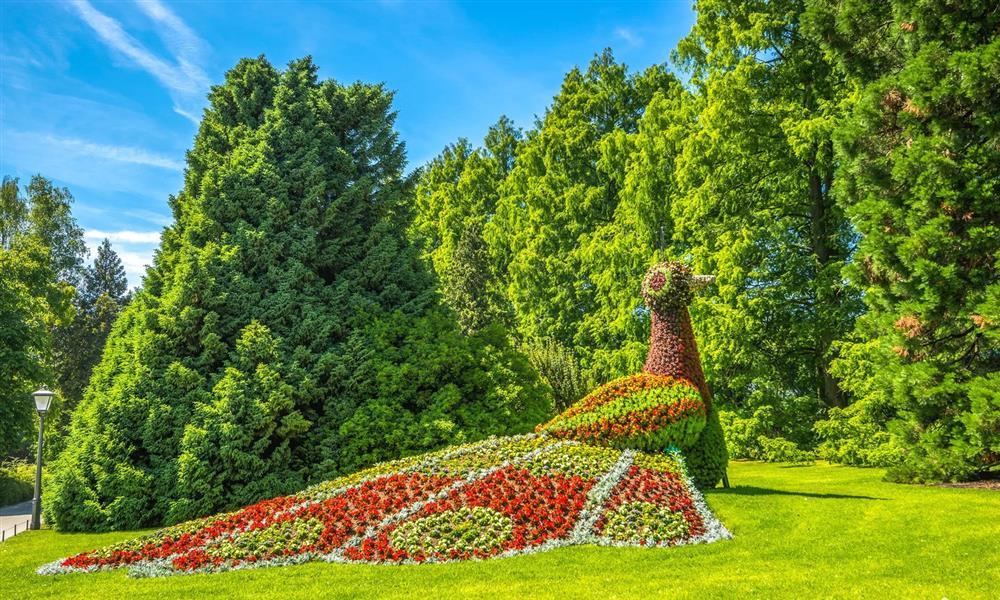 Ngắm sắc xuân rực rỡ tuyệt đẹp trên khắp hành tinh-9