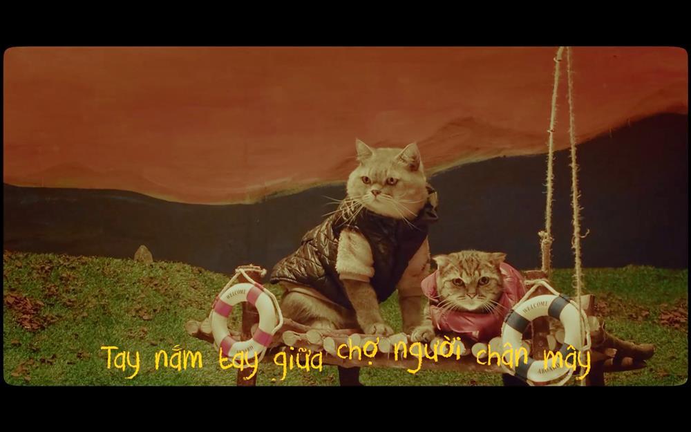 Dàn boss trong MV sao Việt: Cảm động các chú mèo thương tật-7