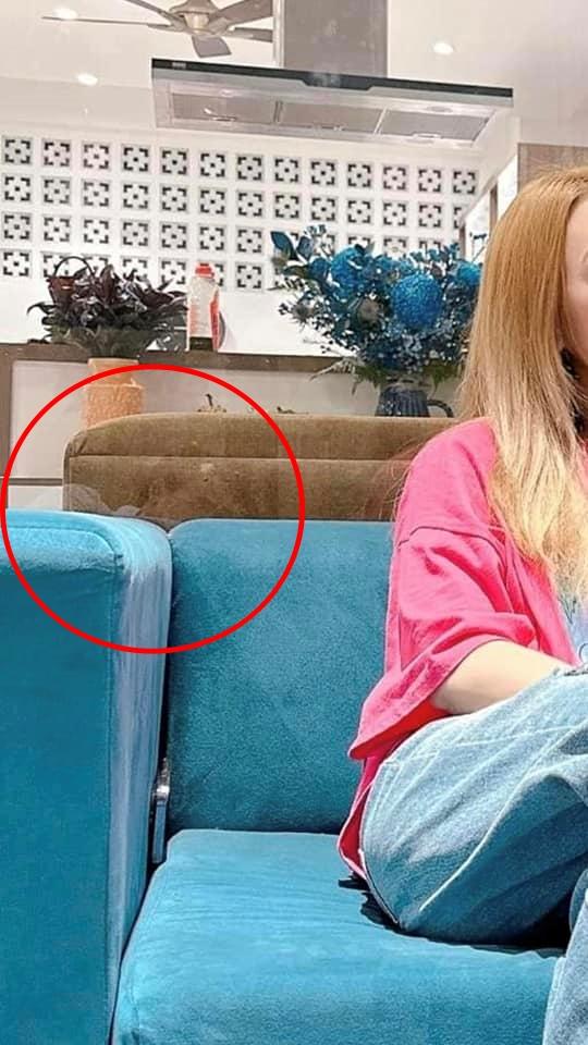 Mai Tài Phến bị soi qua nhà làm phó nháy cho Mỹ Tâm-5