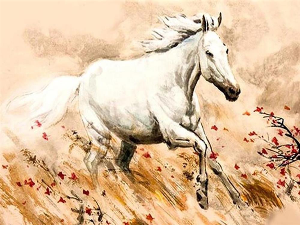 Khai xuân rực rỡ: 3 tuổi gặt hái thành công, đánh đâu thắng đó-3