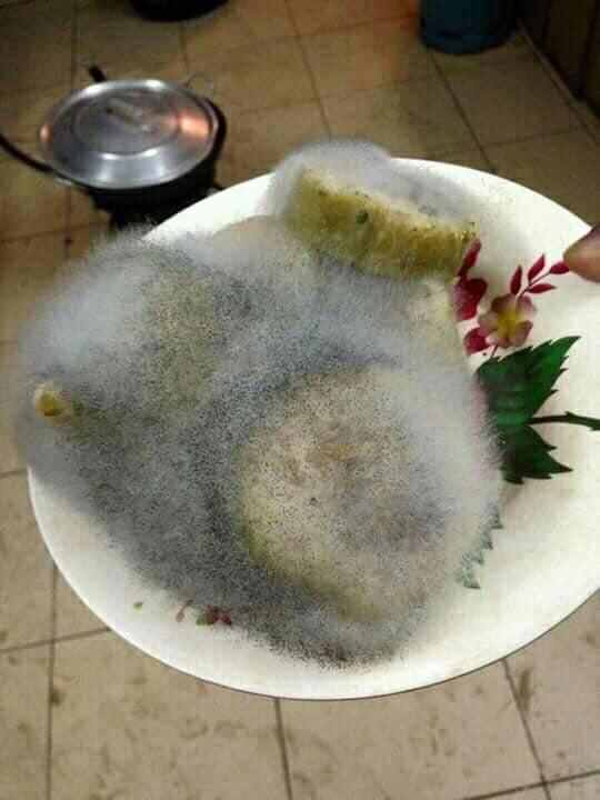 Ăn Tết từ quê lên, dân tình hú hồn khi quay lại phòng trọ-7