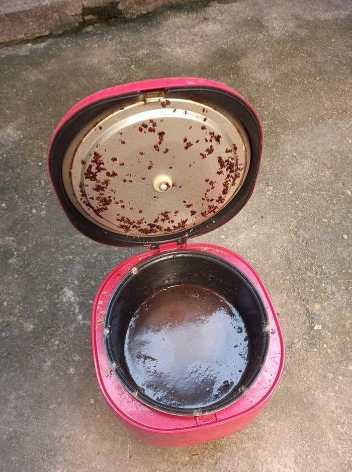 Ăn Tết từ quê lên, dân tình hú hồn khi quay lại phòng trọ-9