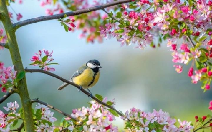 Lập xuân 2023 là ngày nào?-1