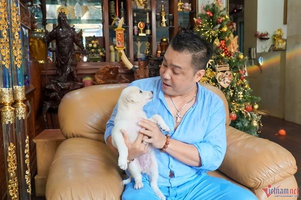 Dinh cơ sang trọng của tài tử từng nhận cát-xê 60 cây vàng Lý Hùng-2