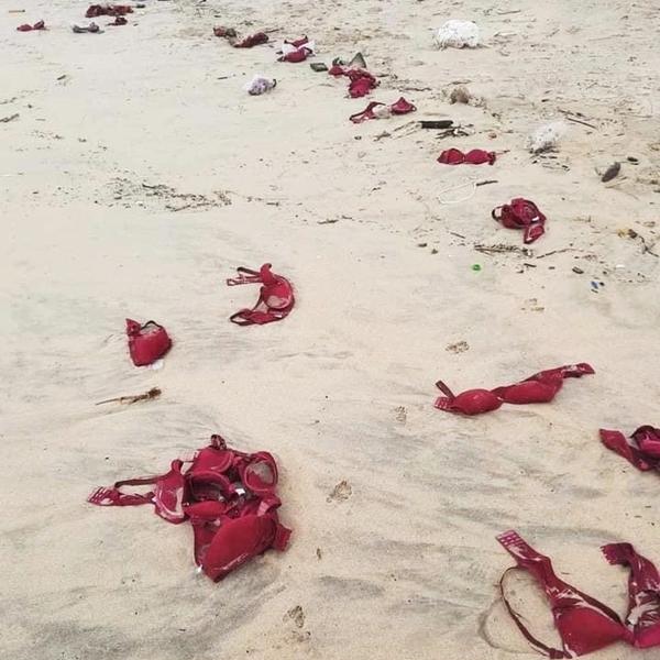Hàng trăm áo ngực dạt vào bờ biển Quảng Ngãi-1