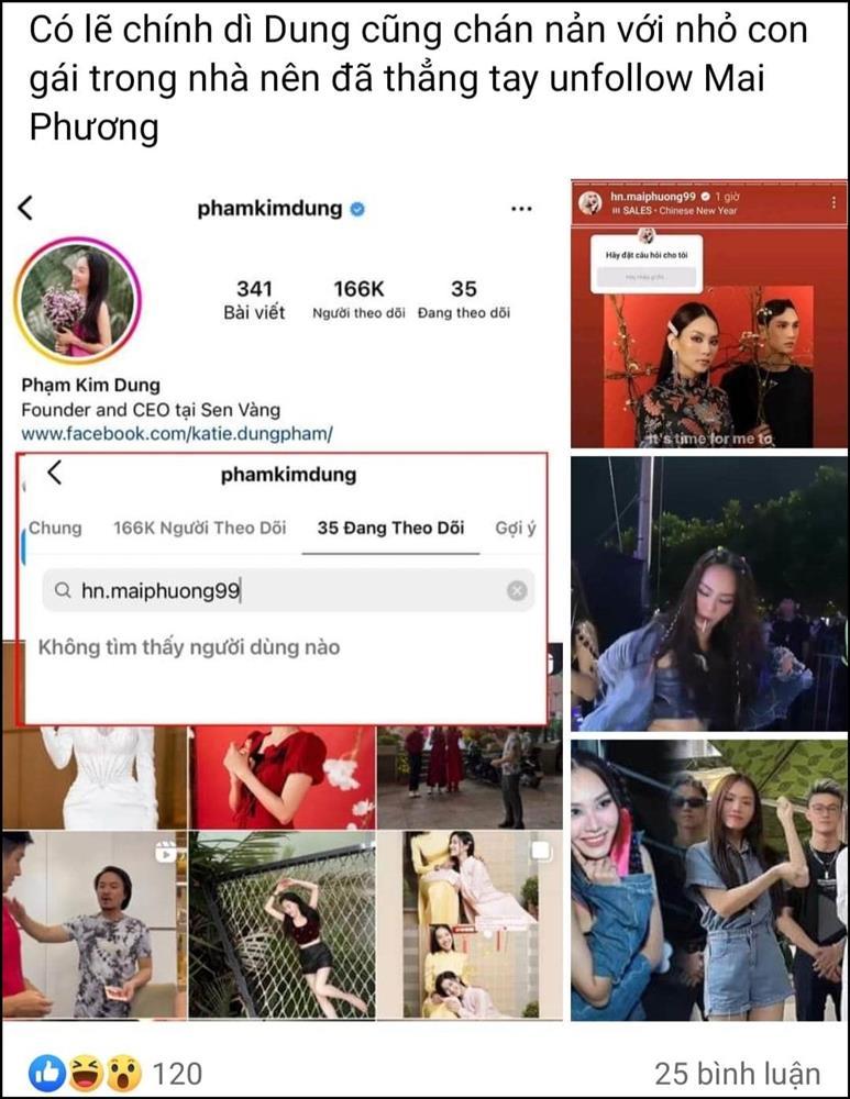 Thực hư hoa hậu Mai Phương bị dì Dung unfollow-3