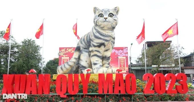 Quảng Trị cân nhắc bán đấu giá linh vật mèo hoa hậu gây quỹ từ thiện-1