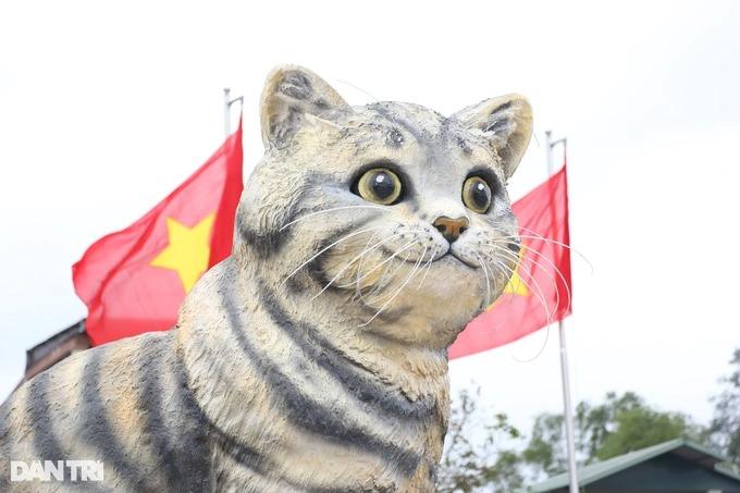 Quảng Trị cân nhắc bán đấu giá linh vật mèo hoa hậu gây quỹ từ thiện-3