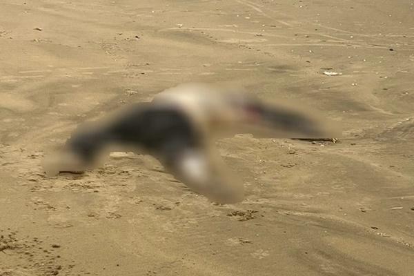 Thi thể nữ công nhân mất tích trôi trên sông Sài Gòn-3