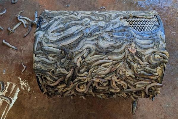 8.000 khách du lịch ở Cô Tô lên tàu về đất liền tránh bão số 1-2