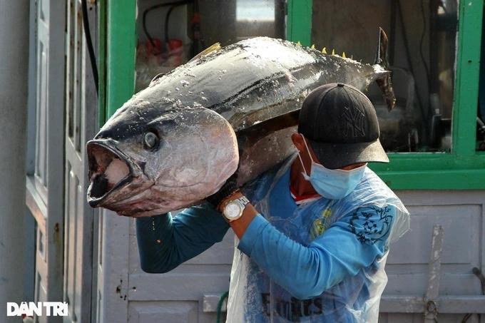Món đèn pha đại dương quanh lửa hồng nhìn thì ghê, ăn lại mê-1