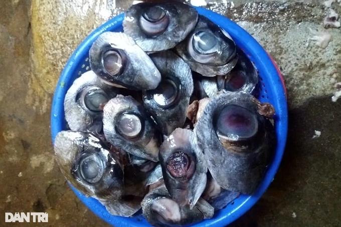 Món đèn pha đại dương quanh lửa hồng nhìn thì ghê, ăn lại mê-2