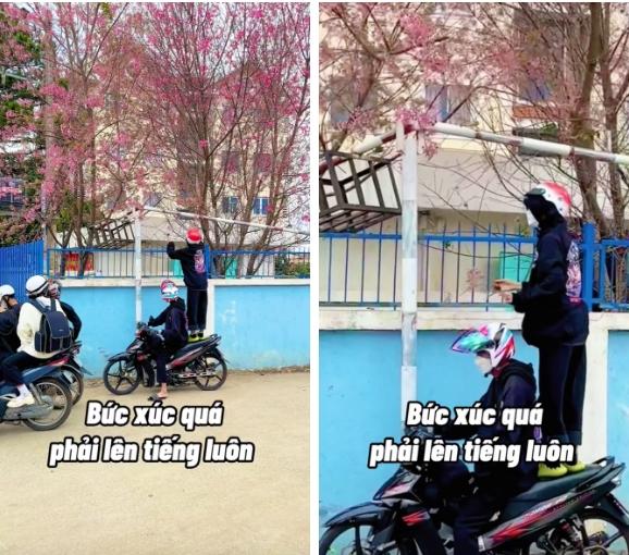 Phẫn nộ nhóm thanh niên vô tư đứng lên xe máy bẻ mai anh đào-1