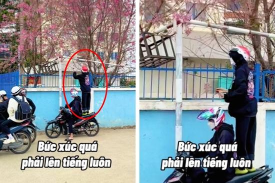 Phẫn nộ nhóm thanh niên vô tư đứng lên xe máy bẻ mai anh đào