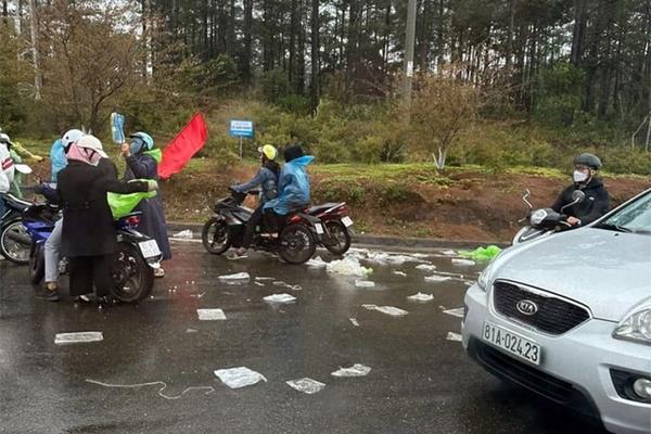 Clip: Phẫn nộ nữ du khách trộm hoa cẩm tú cầu ở Măng Đen-2