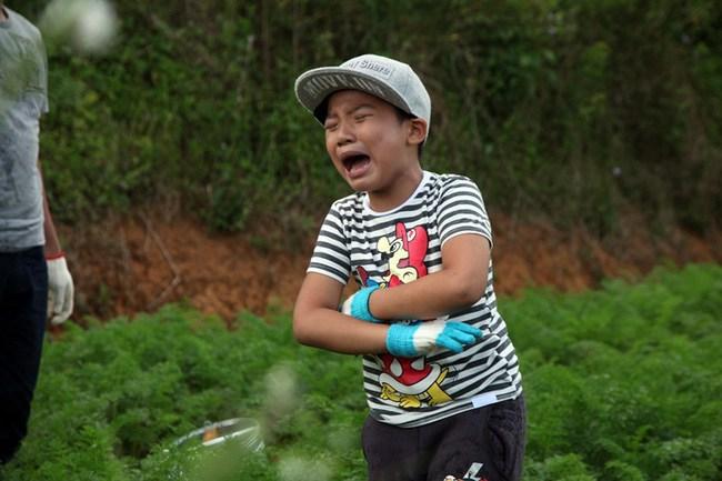 Showbiz Việt ngày 31/1: Bất ngờ ngoại hình con trai Hoàng Bách tuổi 16-3