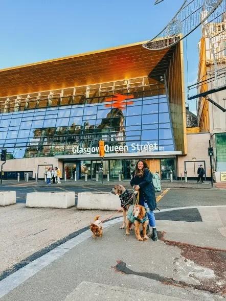 Chi 100 ngàn USD thuê máy bay chở thú cưng đi du lịch thế giới-2