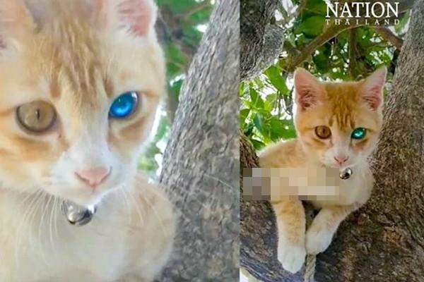 Thái Lan thiếu lao động trầm trọng khi khách Trung Quốc đông-2