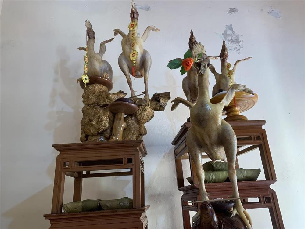 Lạ lùng gà bay trong mâm cúng Rằm Tháng Giêng ở Hà Tĩnh-3