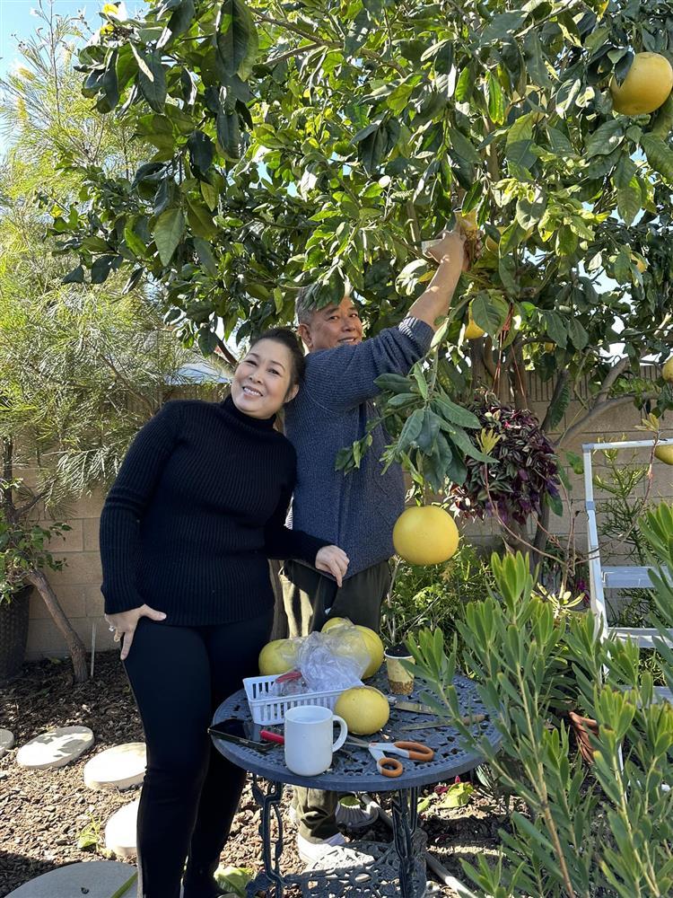 Showbiz Việt ngày 3/2: Hồ Quang Hiếu khó chịu khi bị gọi là cô-8