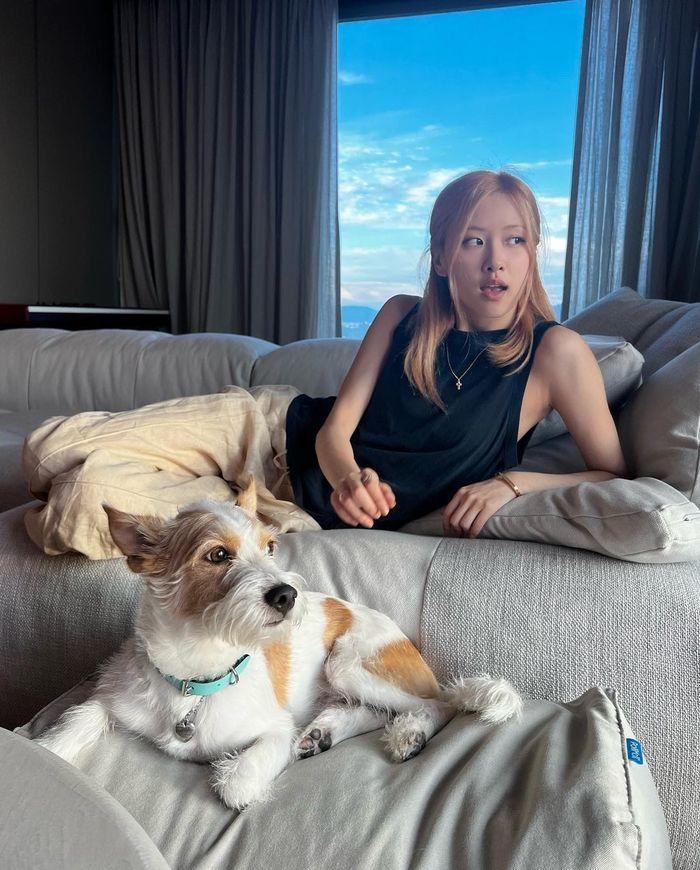 4 mỹ nhân BLACKPINK sở hữu loạt căn hộ đắt đỏ nhất Hàn Quốc-6