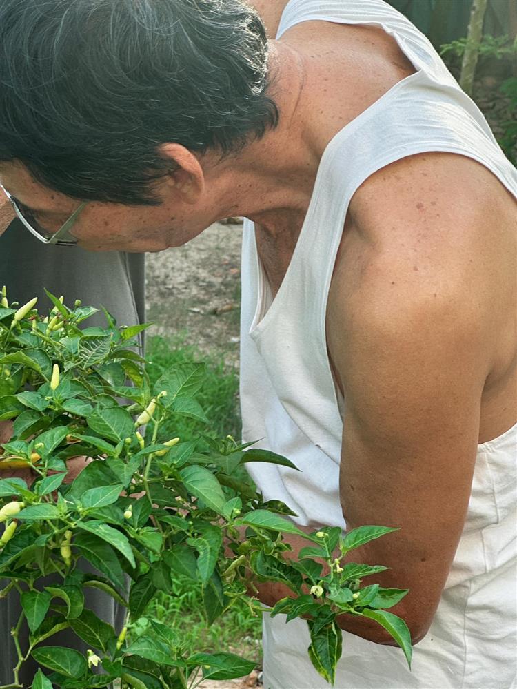 Kỳ Duyên về quê Minh Triệu, xuất hiện cùng bố siêu mẫu-3