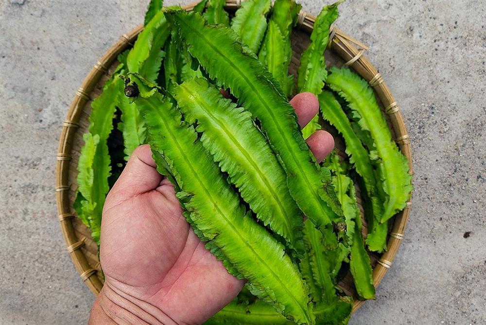 5 loại rau nhiều canxi hơn cả tôm cá, giá lại rẻ bán đầy chợ-4