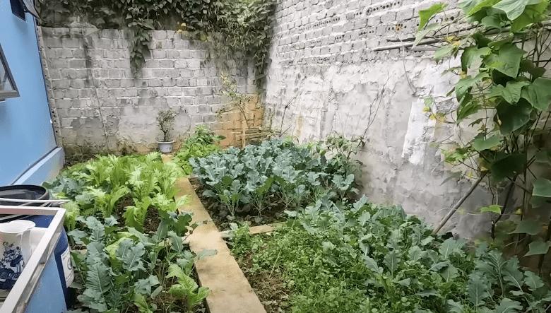 Cơ ngơi bạc tỷ cô gái trăm triệu đổi đời nhờ Thách Thức Danh Hài-10