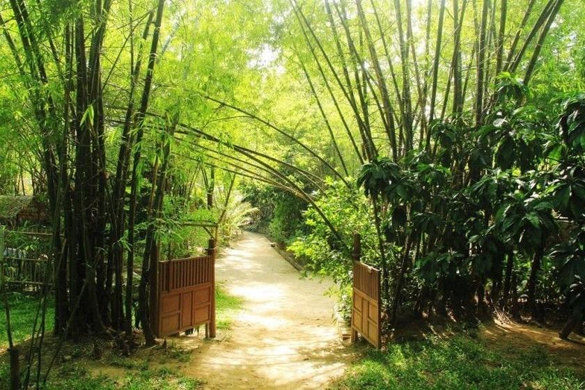 Trồng 6 loại cây trước cửa để rước tài lộc về nhà-6