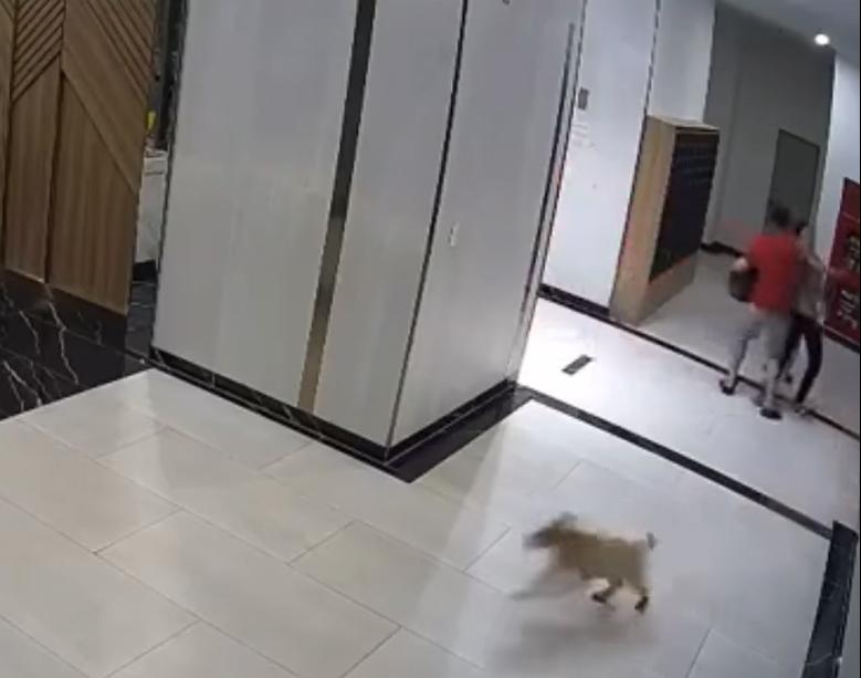 Tình tiết bất ngờ về chủ chó đấm nát mặt người bố bảo vệ con-2