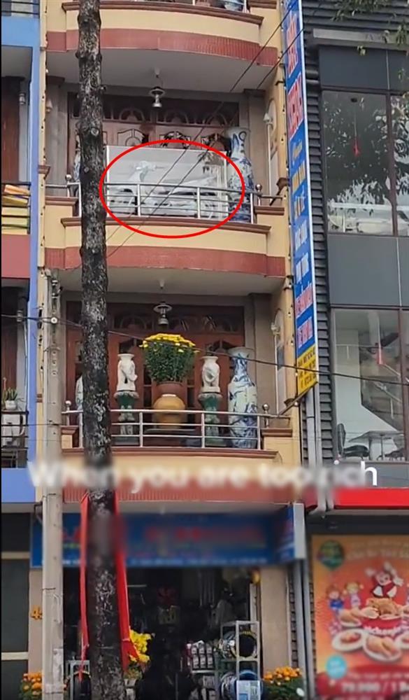 Gia chủ chịu chơi, bày nguyên dàn lục bình chỉ để trang trí ban công-2