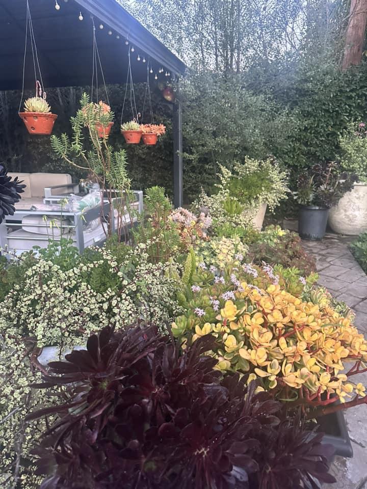 Biệt phủ ngập tràn hoa trái của Hà Thanh Xuân ở Mỹ-2