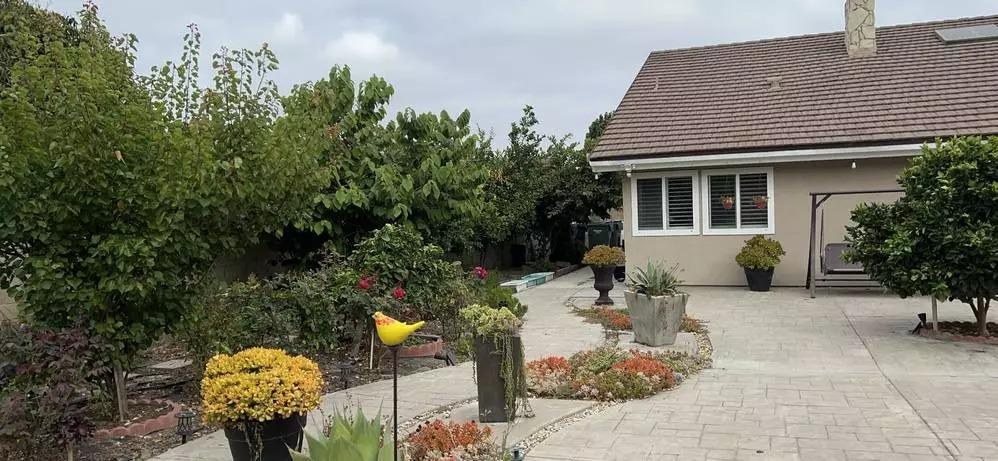 Biệt phủ ngập tràn hoa trái của Hà Thanh Xuân ở Mỹ-12