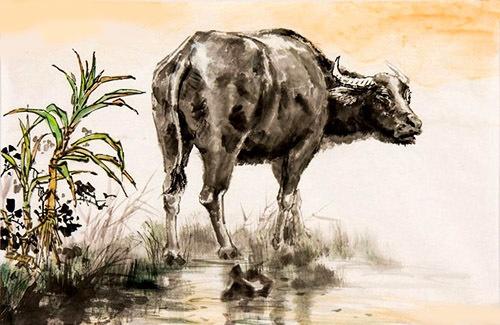 Ngày 8/2 xui xẻo tìm đến cửa, tuổi nào khổ tận cam lai?-1