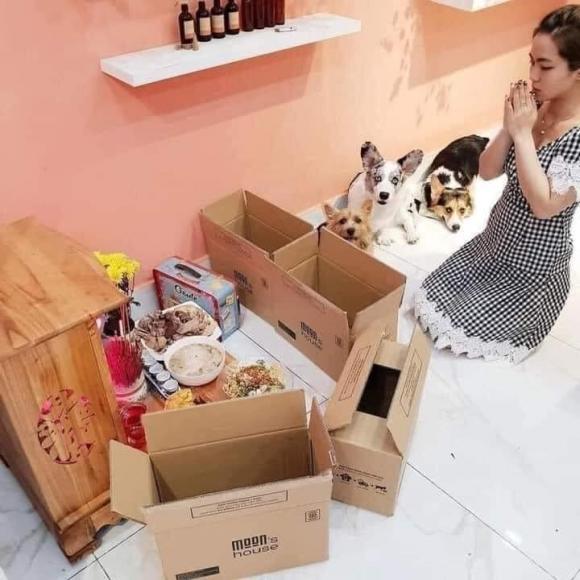 Muôn kiểu sáng tạo của gia chủ đề phòng chó mèo phá hoại đồ đạc-11