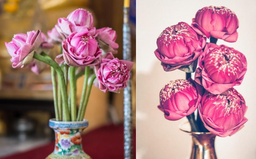 Những loại hoa nên bày trên bàn thờ để thu hút tài lộc-1