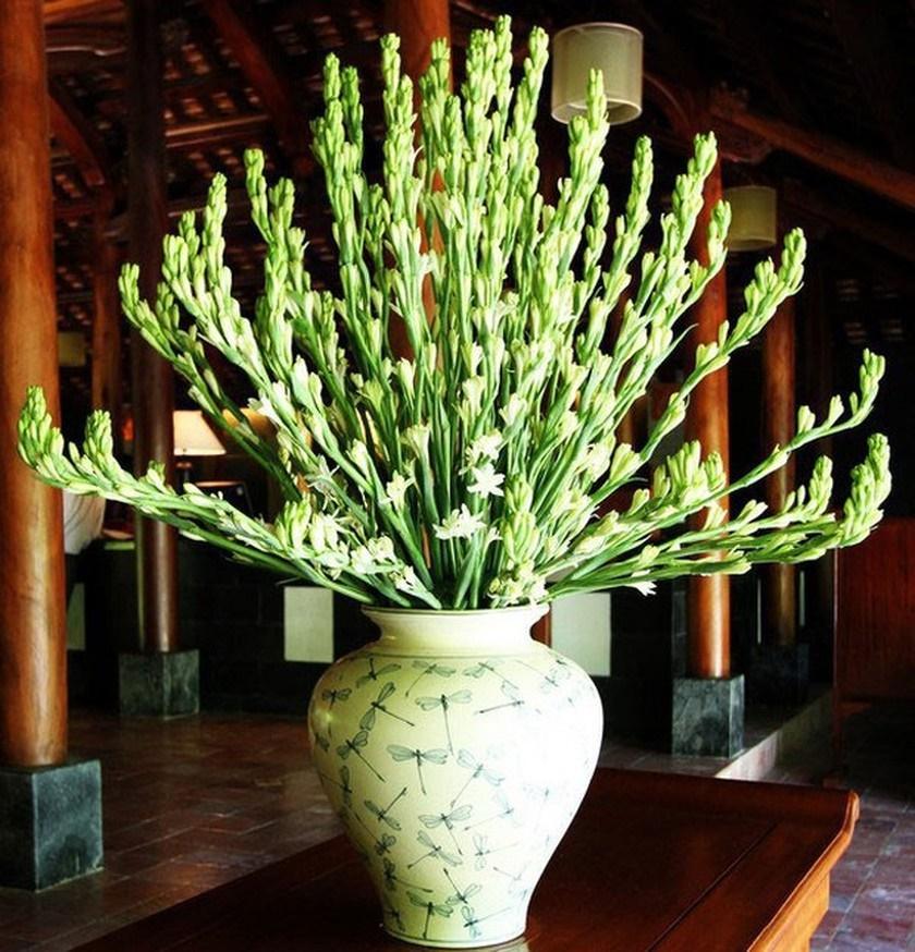 Những loại hoa nên bày trên bàn thờ để thu hút tài lộc-4