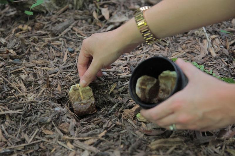 Bỏ túi 5 mẹo tái sử dụng túi trà lọc không phải ai cũng biết-3