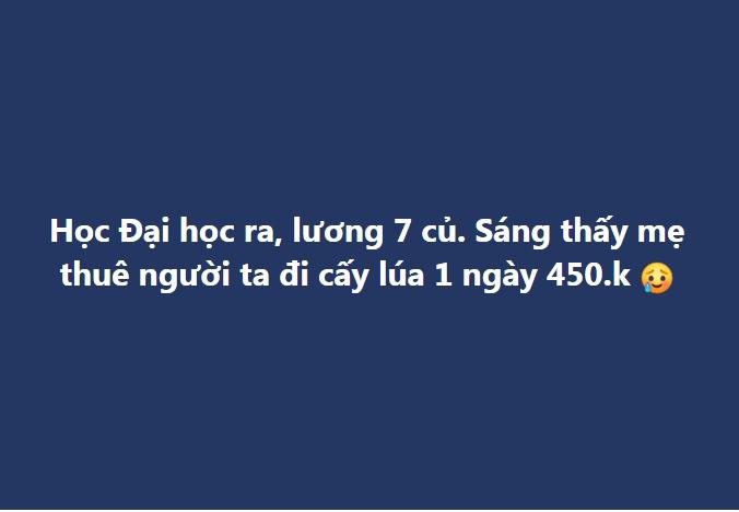 Lương 7 triệu sau 4 năm Đại học, cô gái sốc khi mẹ thuê cấy 450k/ngày-1