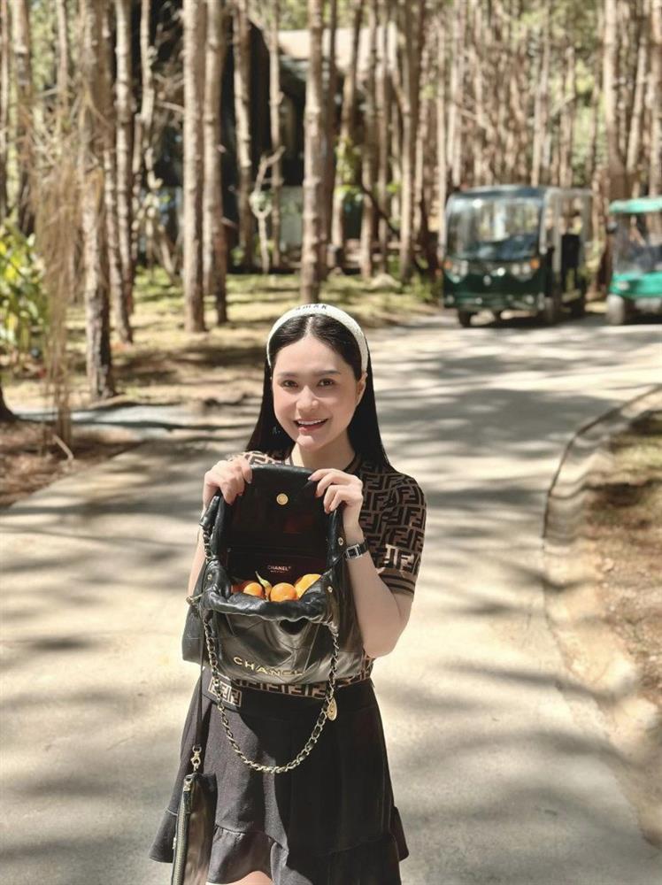 Đoàn Di Băng, Đỗ Mỹ Linh sắm túi xách đắt đỏ chỉ để đựng hoa quả-1