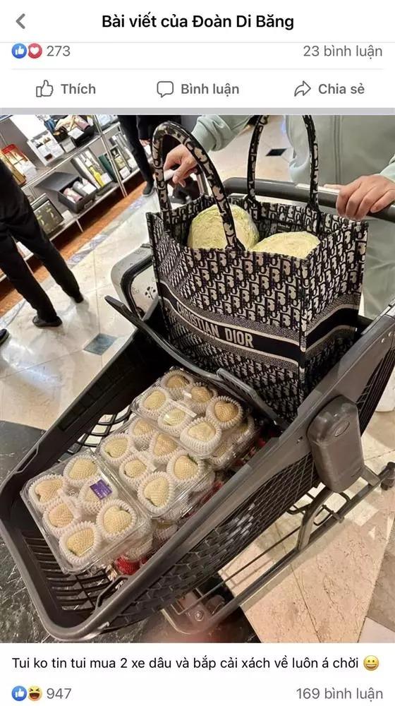 Đoàn Di Băng, Đỗ Mỹ Linh sắm túi xách đắt đỏ chỉ để đựng hoa quả-5