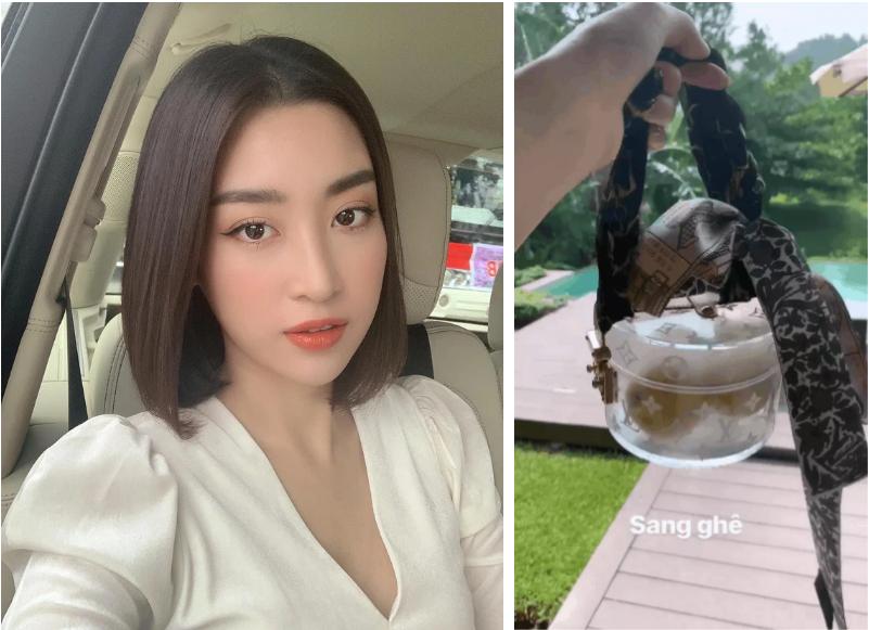 Đoàn Di Băng, Đỗ Mỹ Linh sắm túi xách đắt đỏ chỉ để đựng hoa quả-6