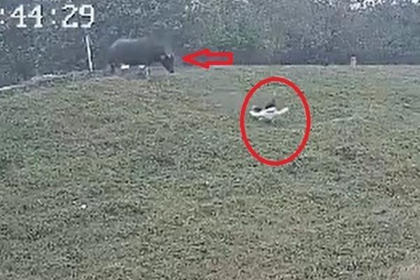 Xôn xao bé gái sơ sinh bị bỏ rơi cùng lời nhắn có 1-0-2-2