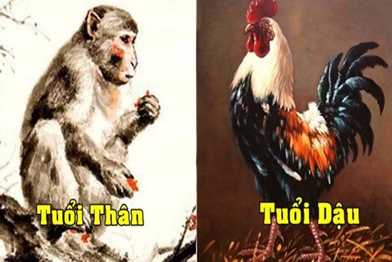 Tử vi hàng ngày 12 con giáp Chủ Nhật 12/2/2023: Ái tình sóng sánh