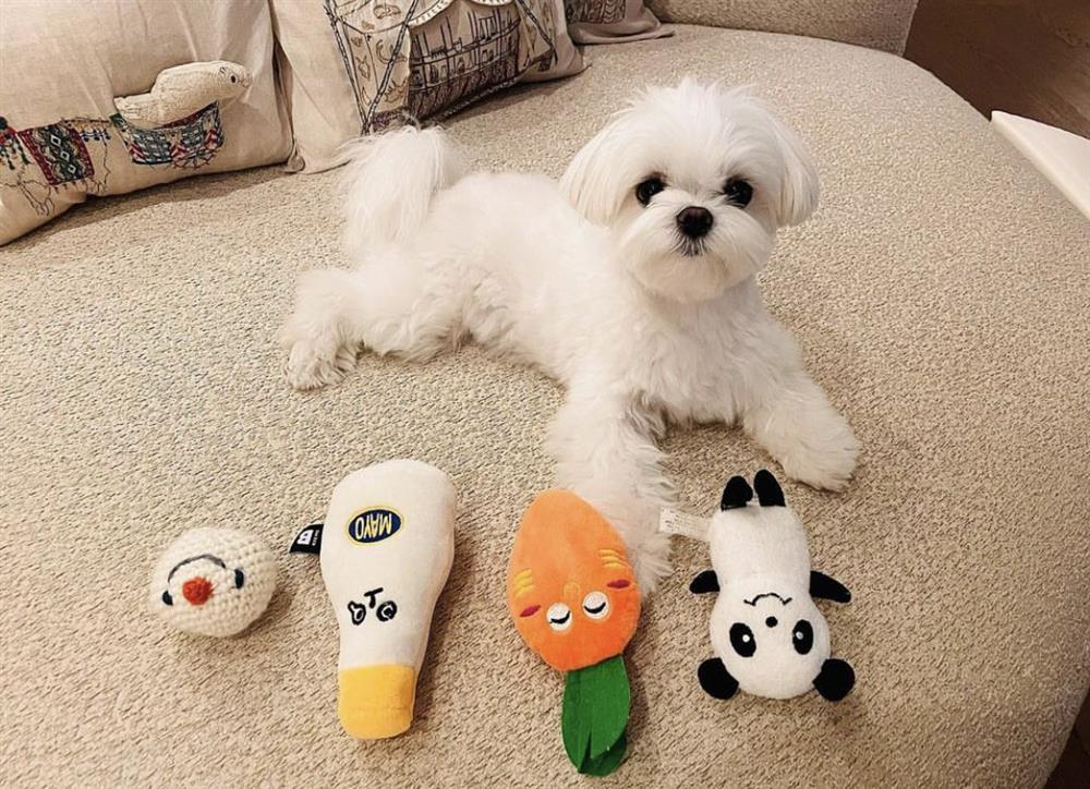 Hyun Bin nói về hôn nhân với Son Ye Jin: Đời tôi đã trọn vẹn rồi-2