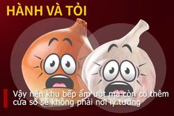 Trời nồm ẩm bỏ túi ngay mẹo hay bảo quản thực phẩm