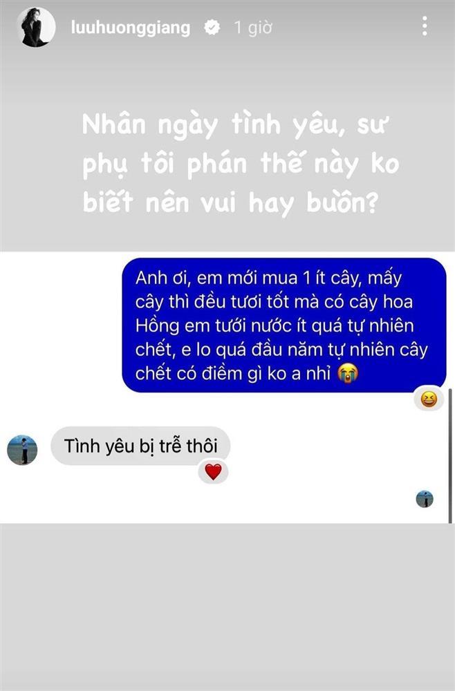 Lưu Hương Giang làm gì ngày Valentine sau sóng gió đời tư?-2